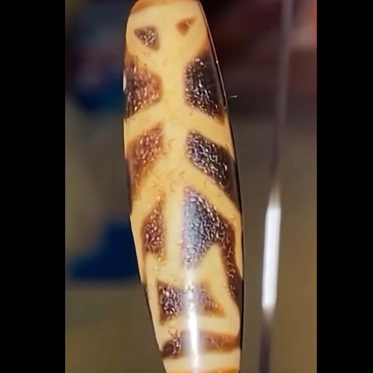 象雄天珠《鉴定主播》