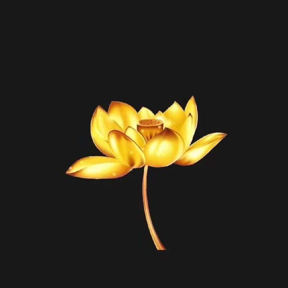 次第花开