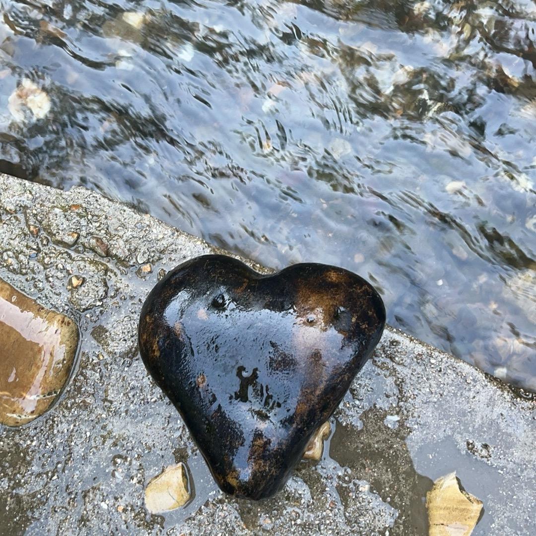 不大聪明的亚子