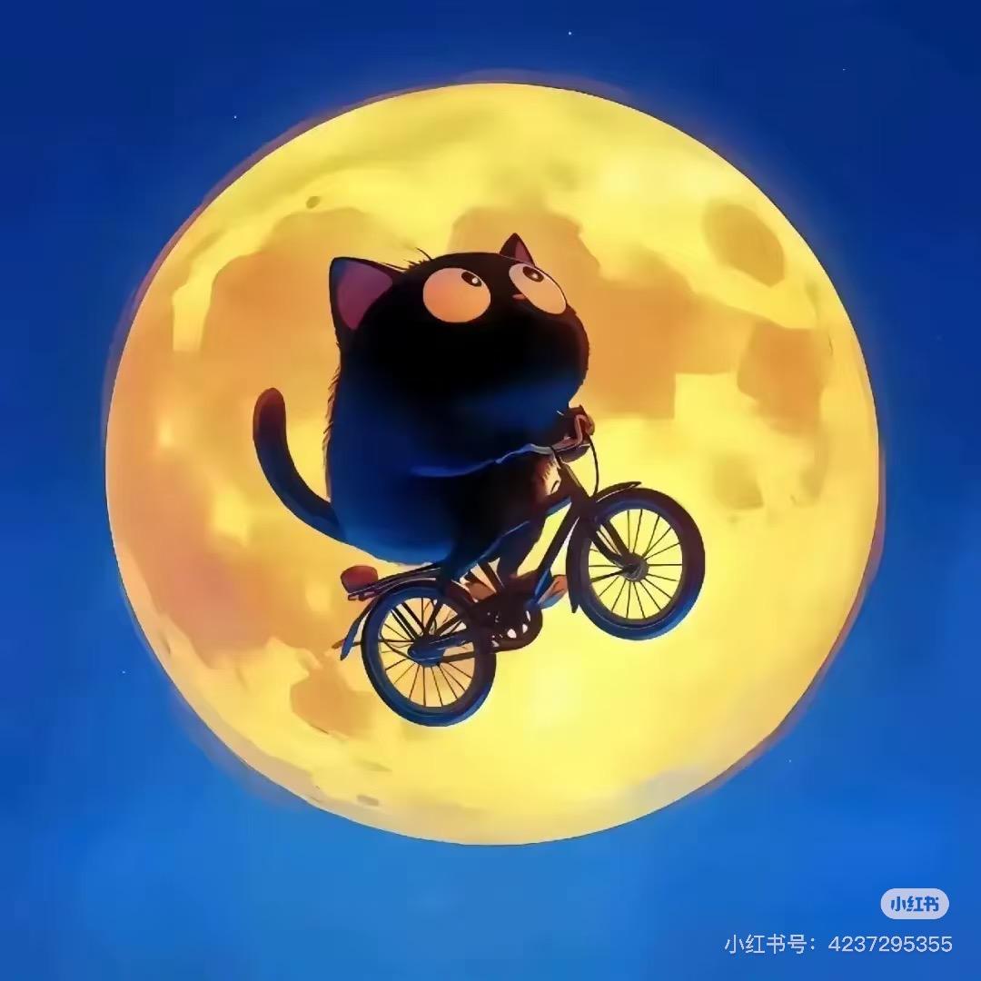 晴天🌷🧚‍♀️