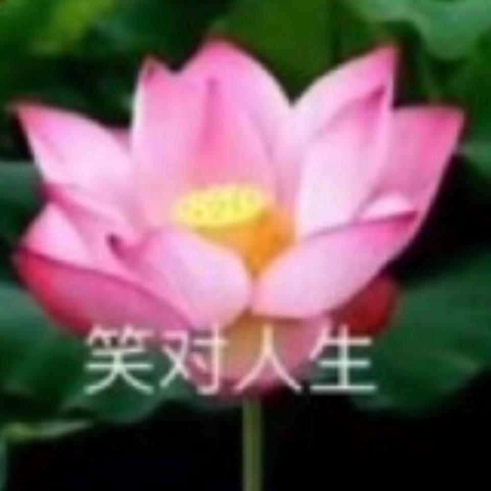 惠灵顿