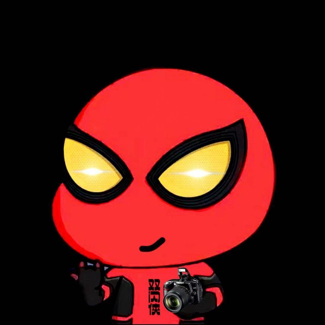 博兴双闪侠（小侠）