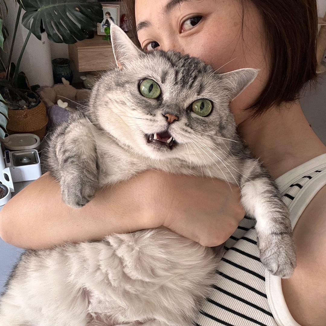 元宝罐罐