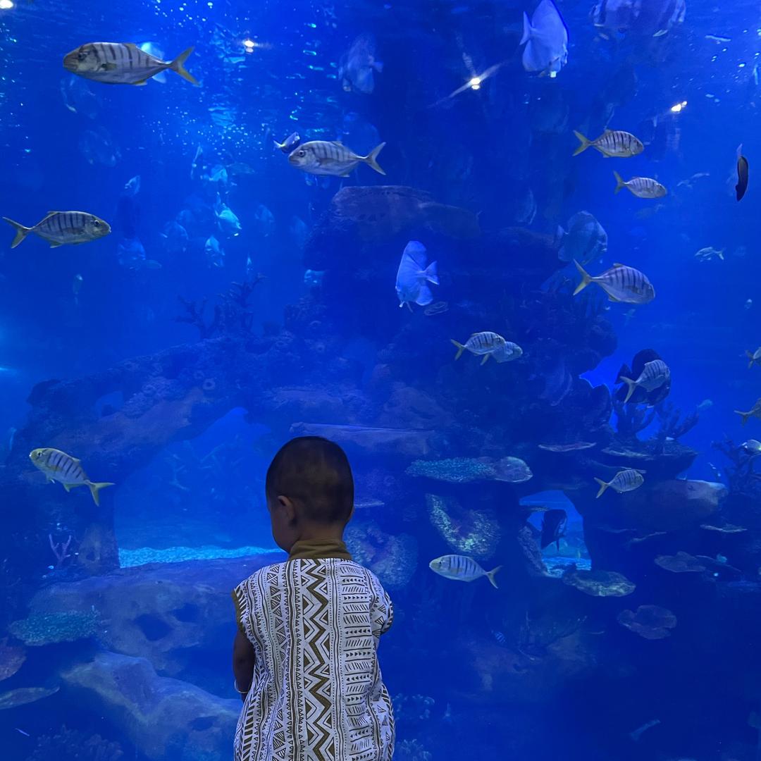 生活很苦，有我超甜💗