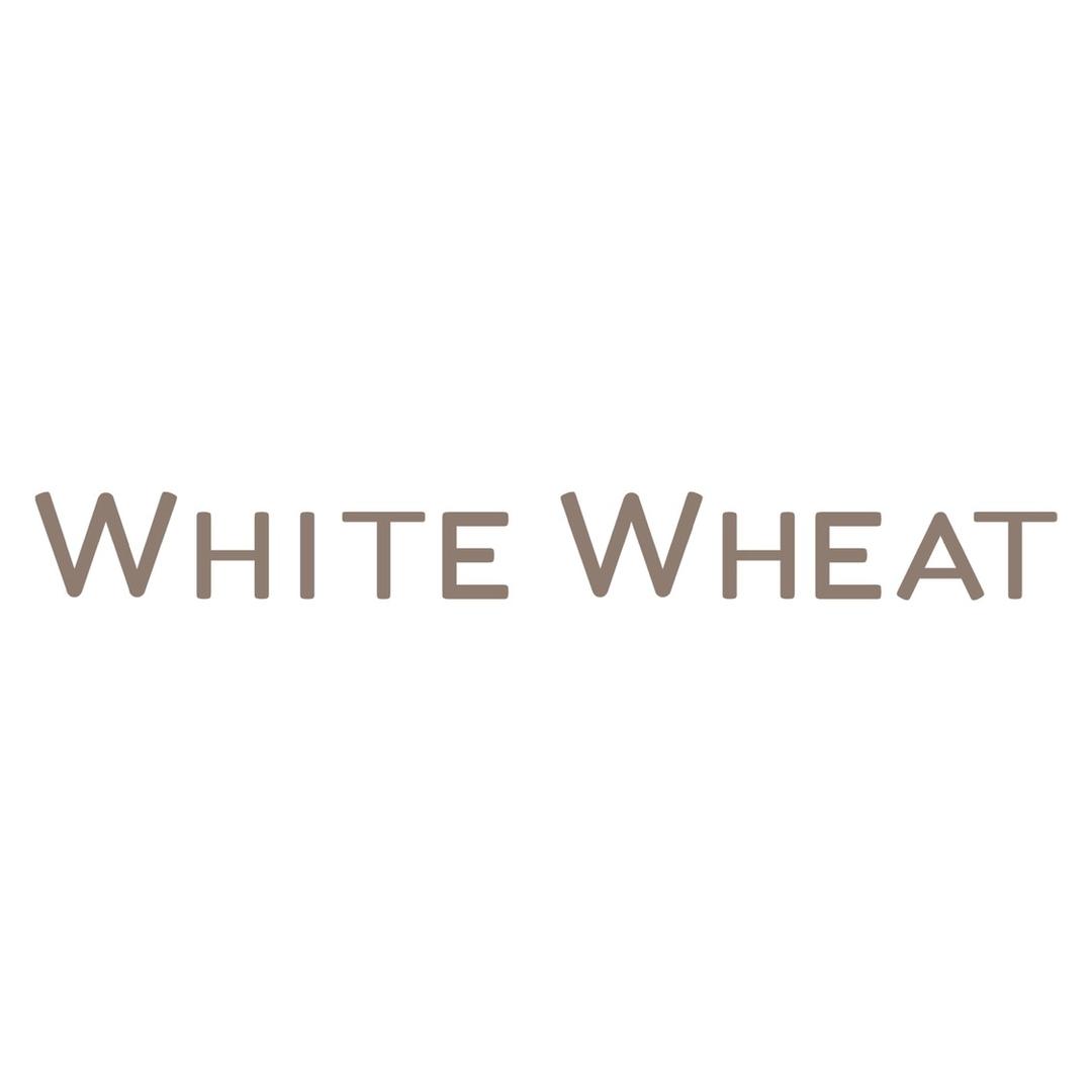 whitewheat官方旗舰店