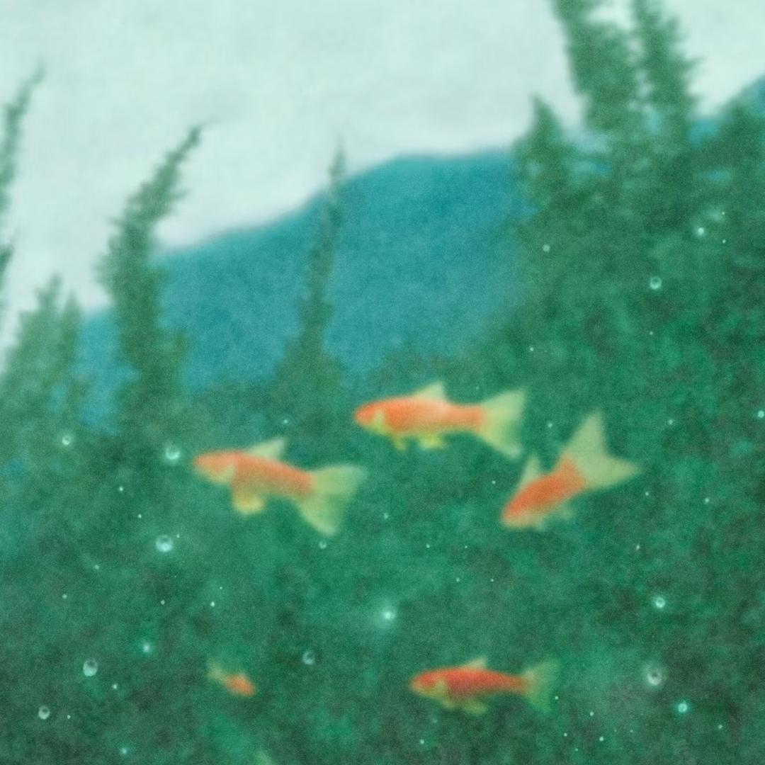 深海淡水鱼🐟