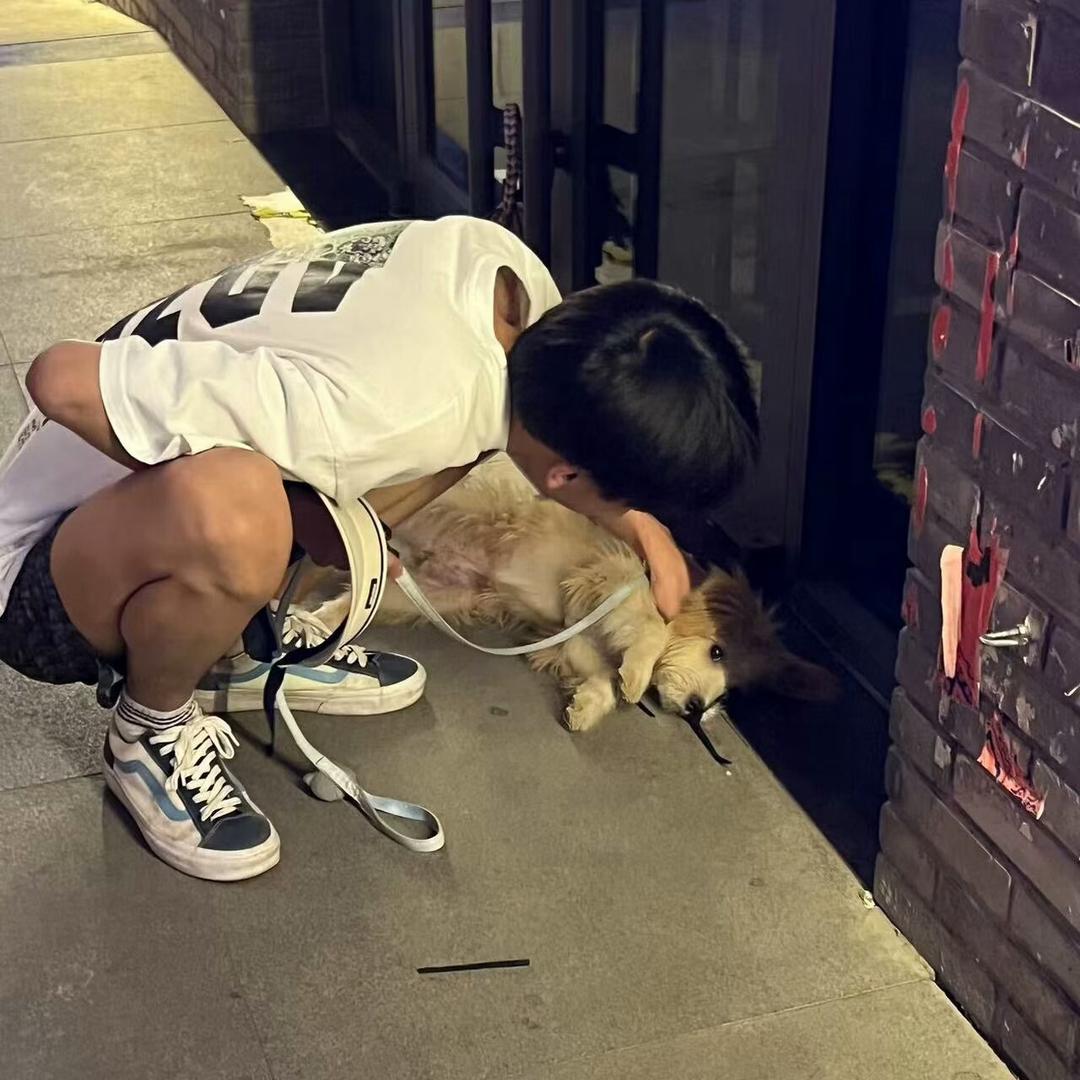 杨总（巅峰极速）