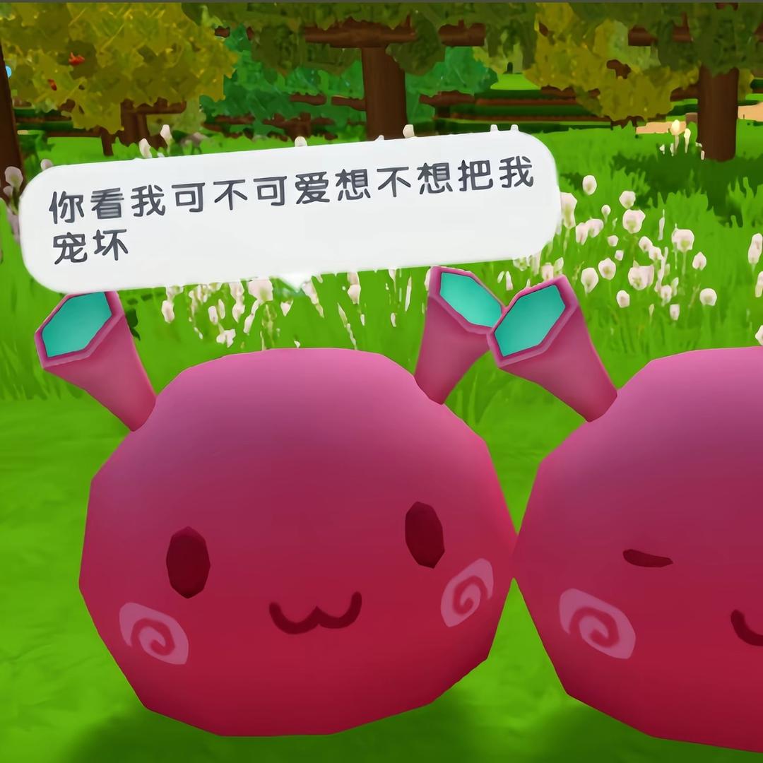 睡不完的觉/