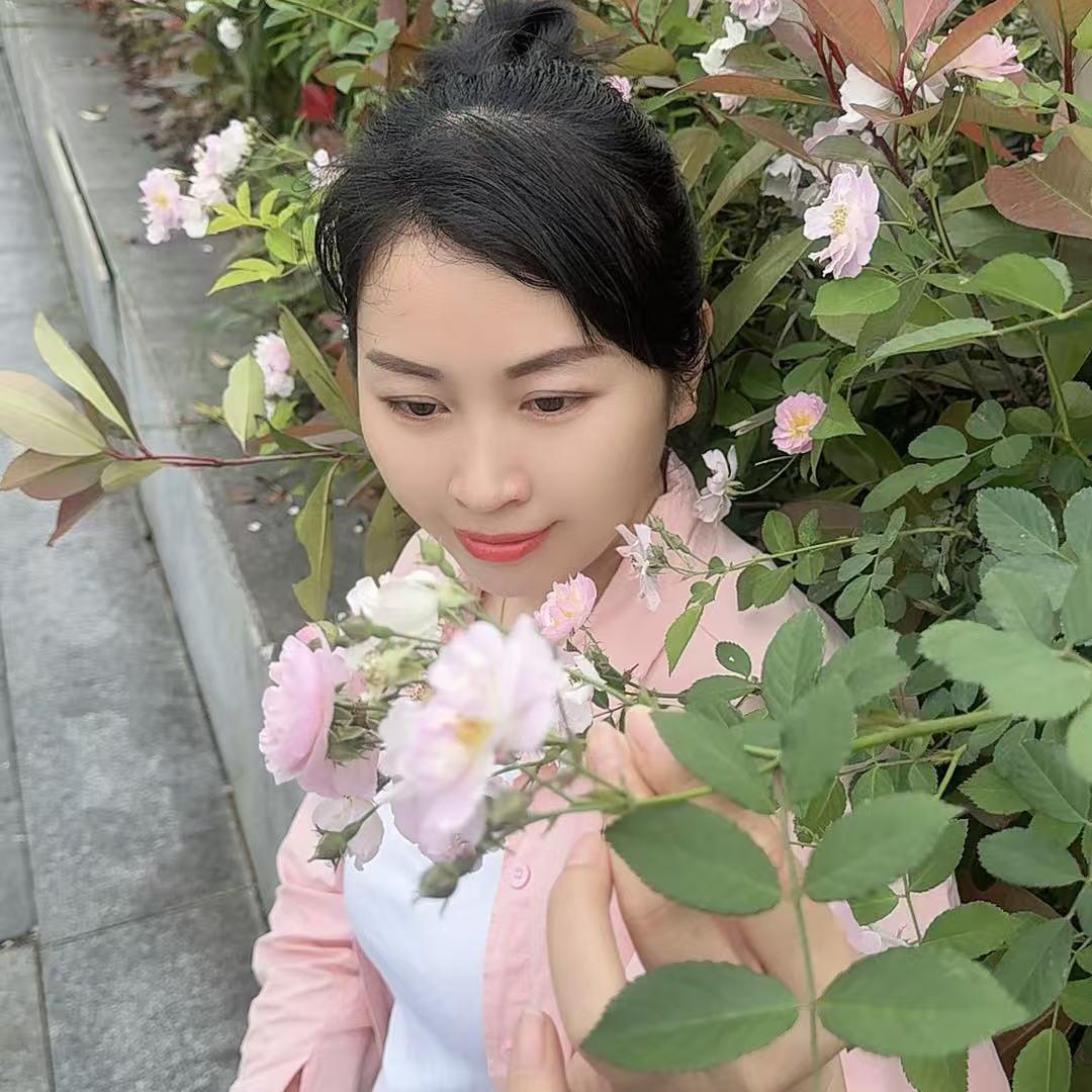 小茄子