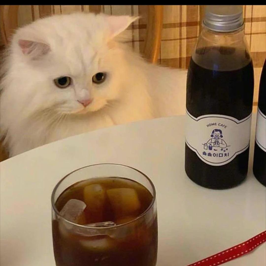 🍅愤怒的鸡哥