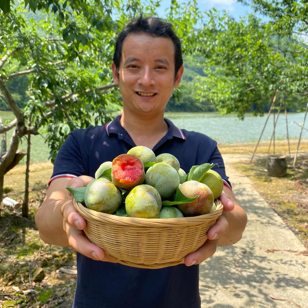 兰蝶妃专营店翁源三华基地