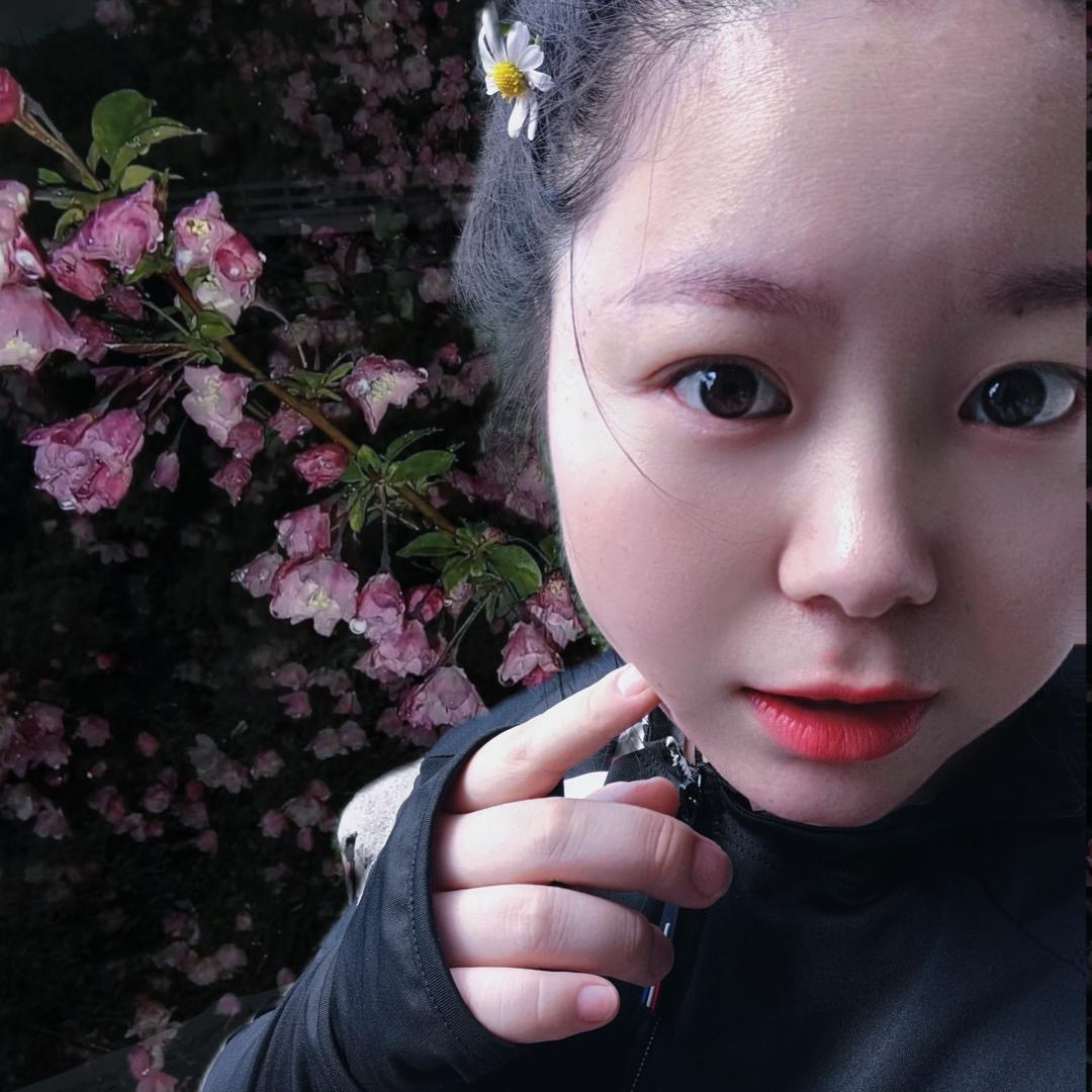 甜豆花（努力ing）