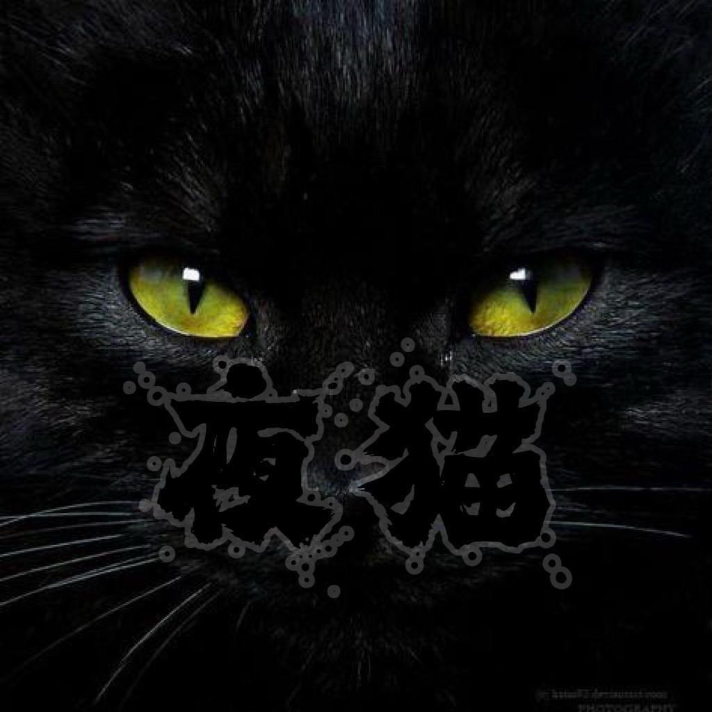 俄罗斯夜猫🇷🇺