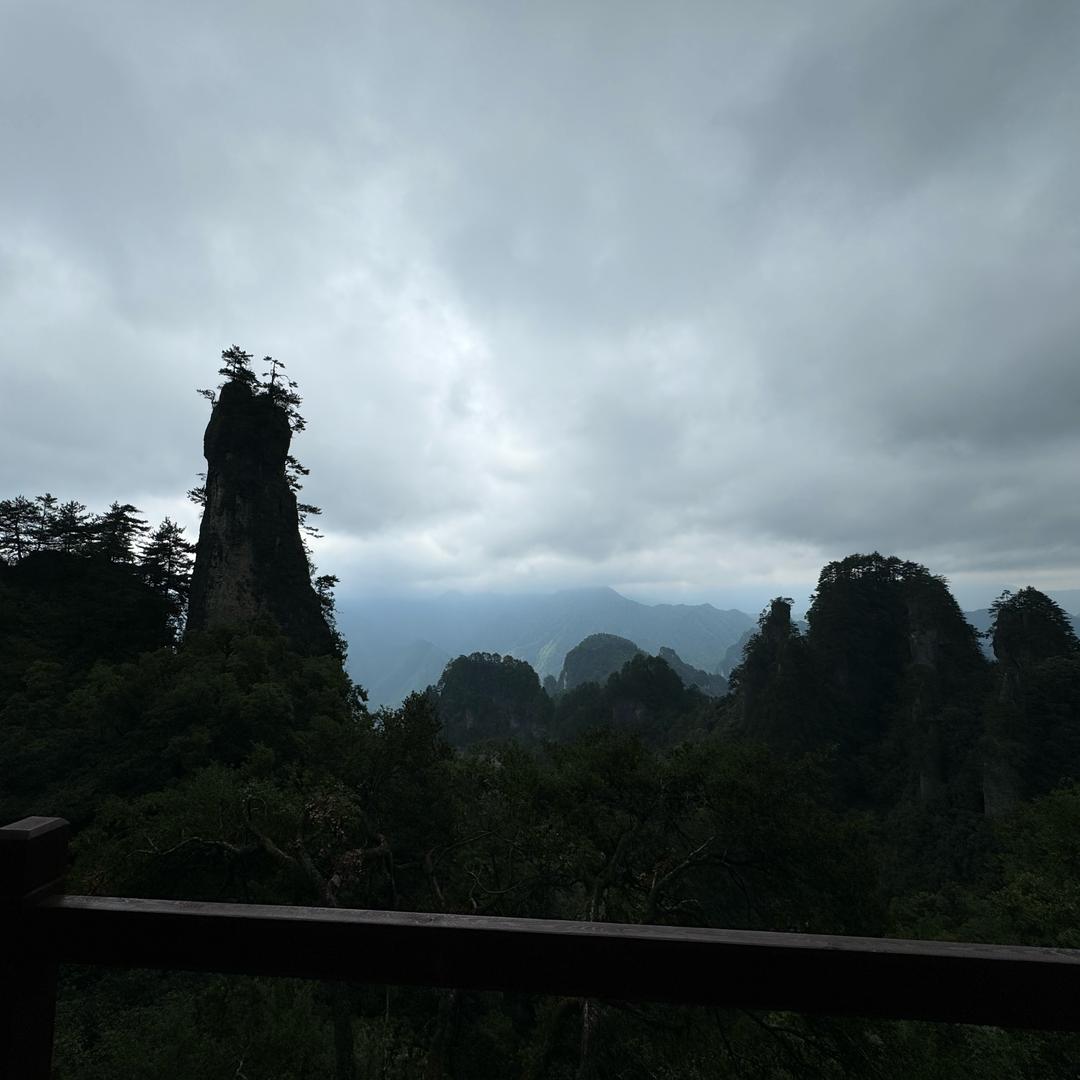 一木泗水