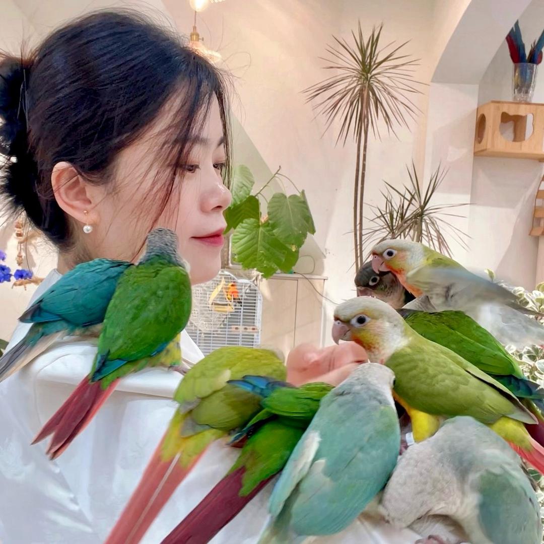 鹦之派花鸟宠物馆新姐姐