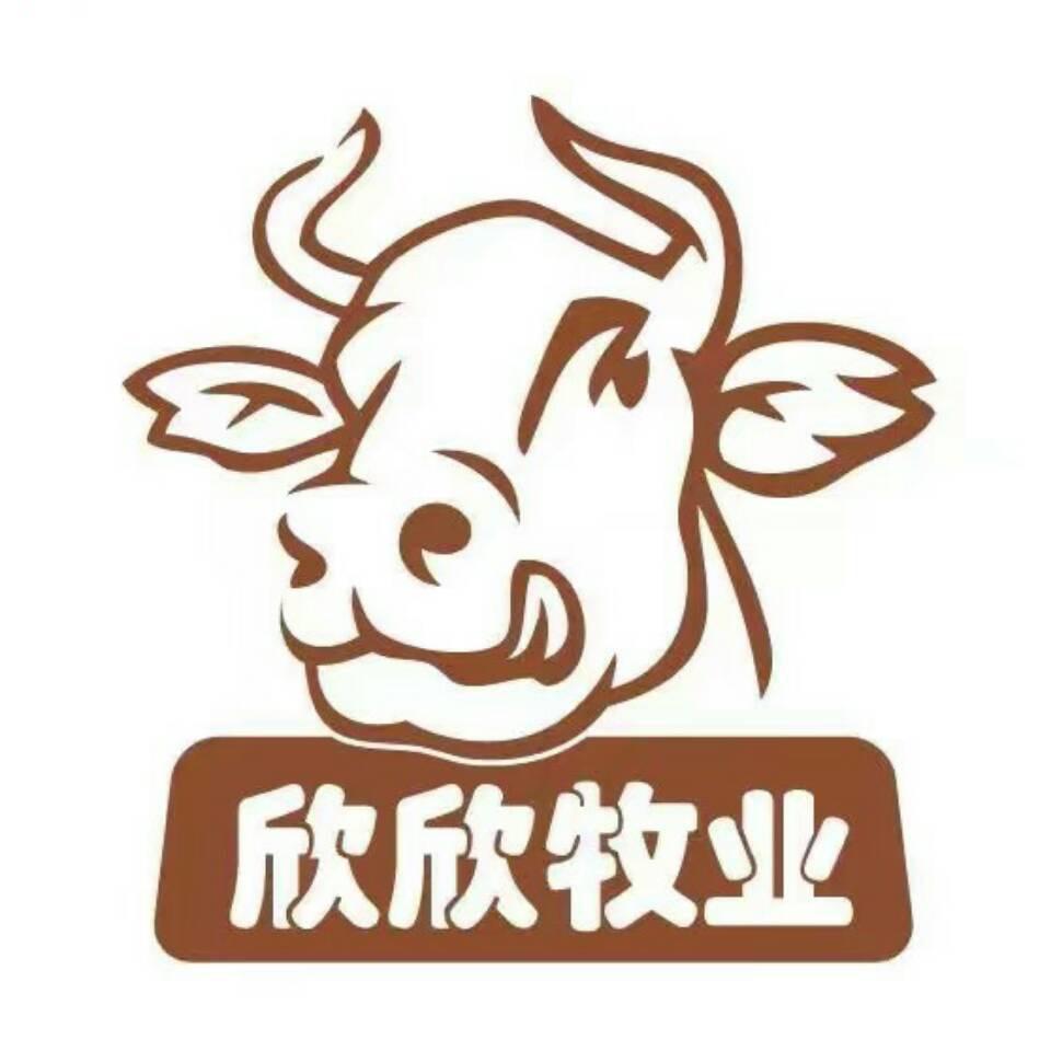 刘师傅黄牛肉（宿松）