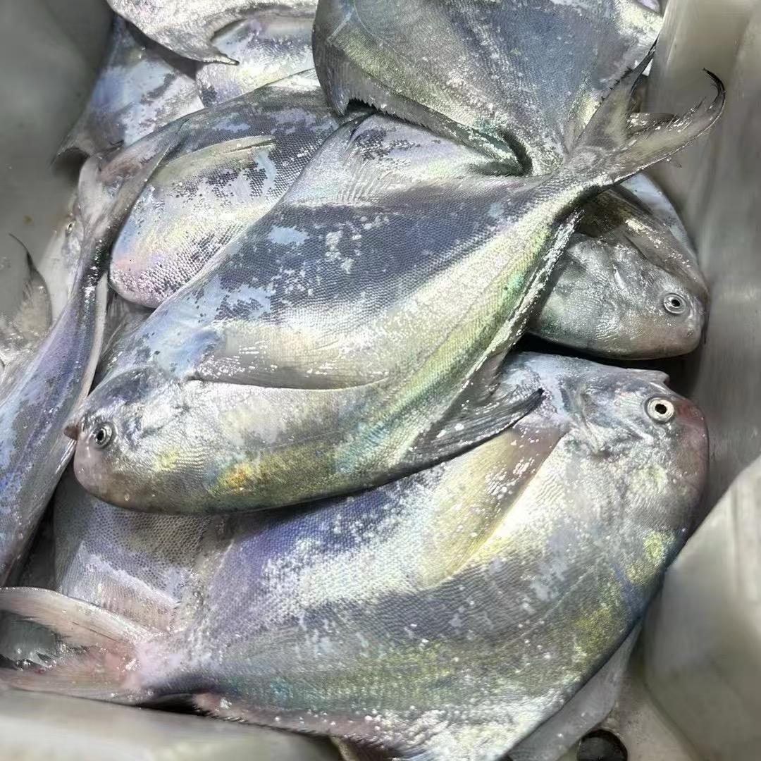 鑫然海鲜精选