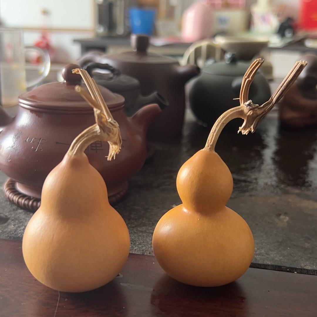 联赛橡塑