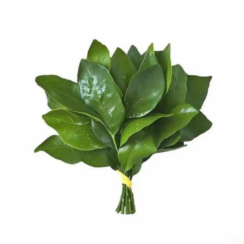 稀