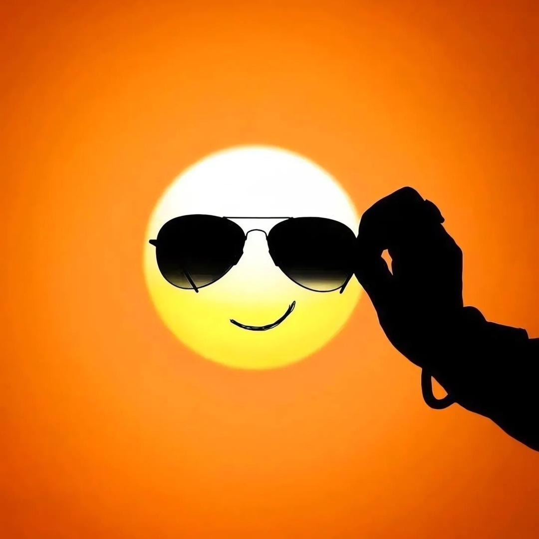 ⭐洋⭐