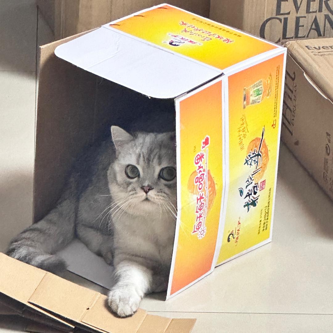 不发脾气发财
