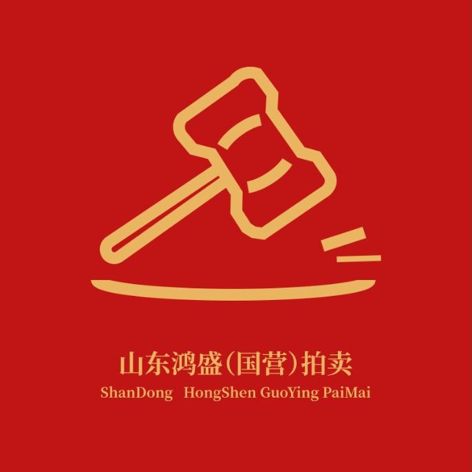 山东鸿盛拍卖