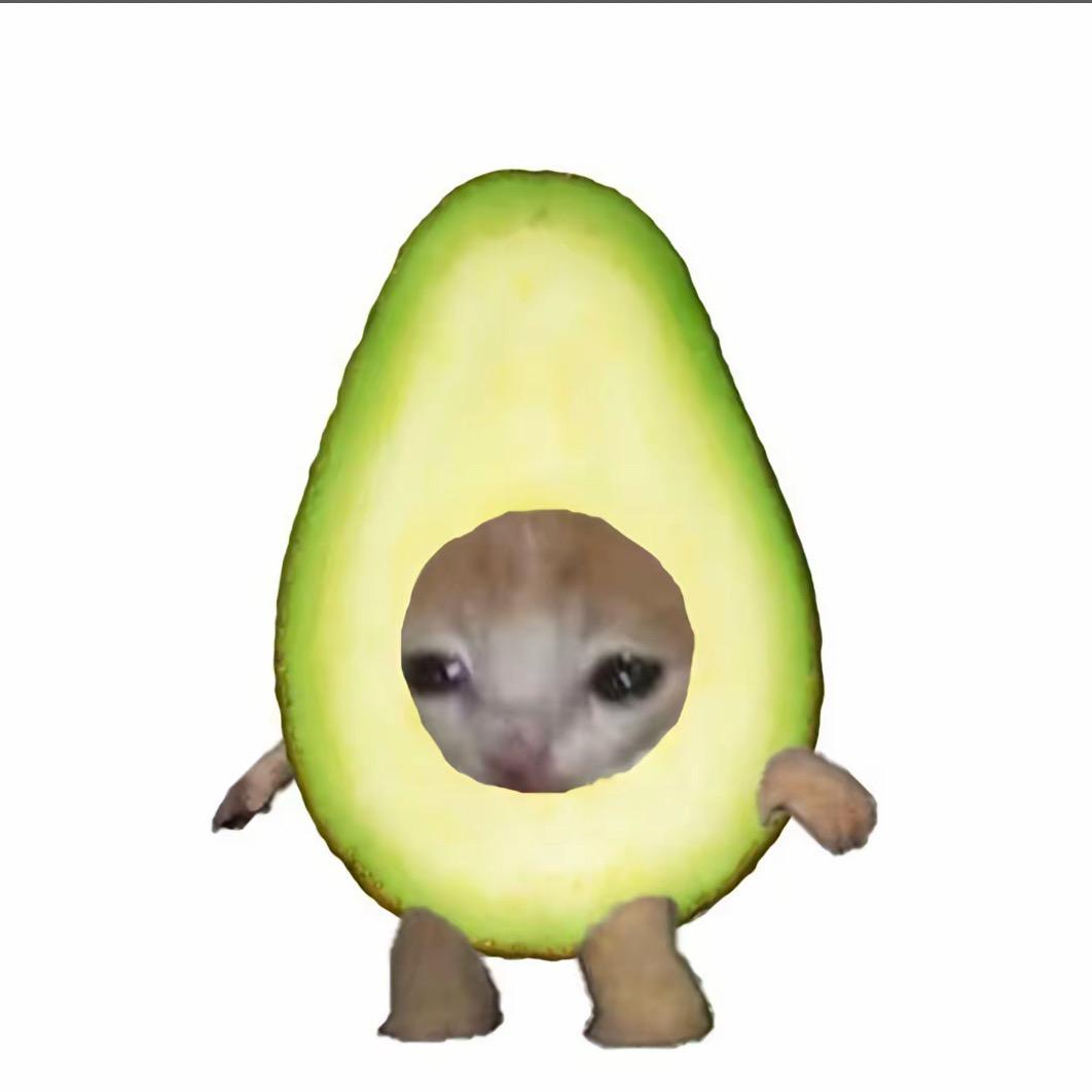 福福的猫meme剧场