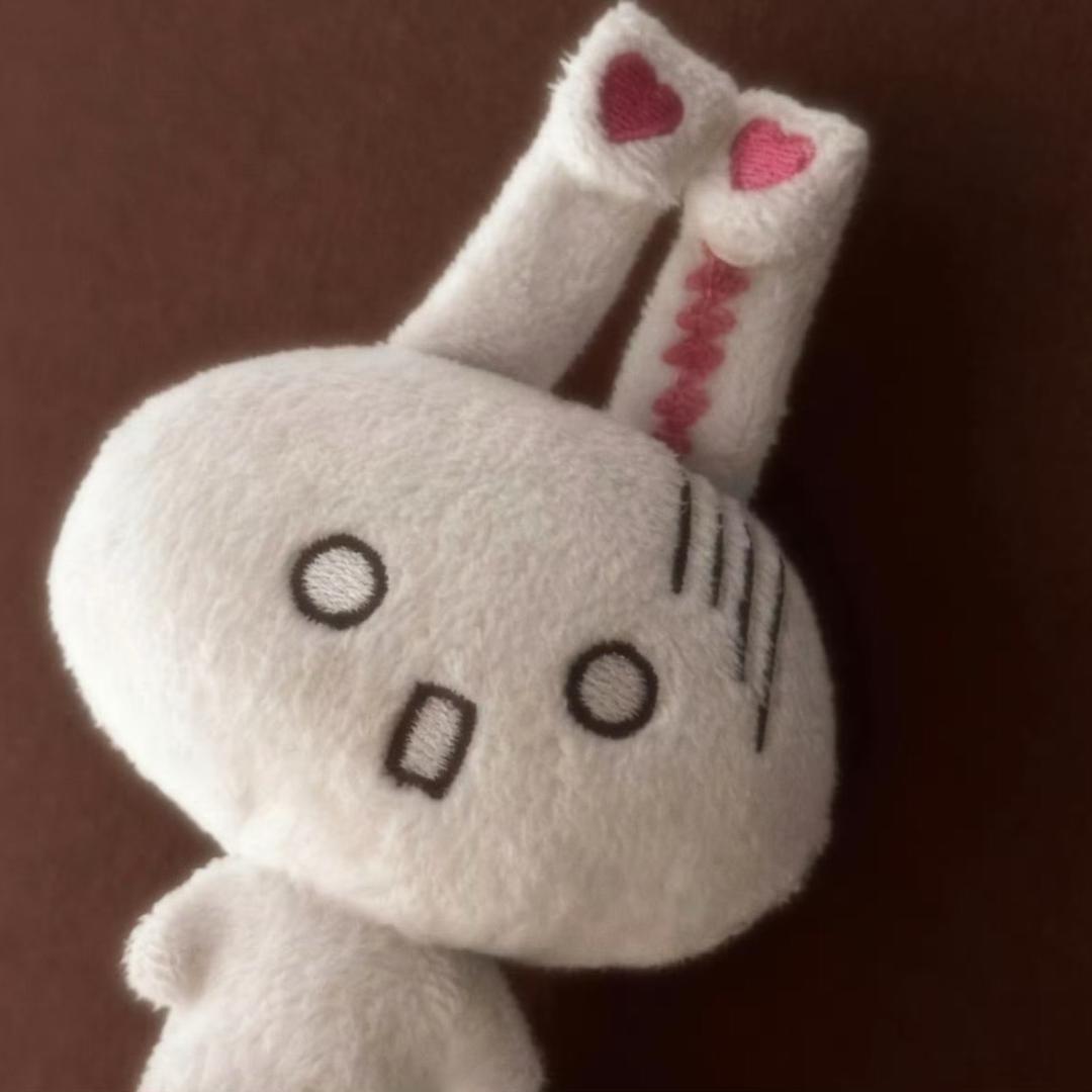 种芒果的