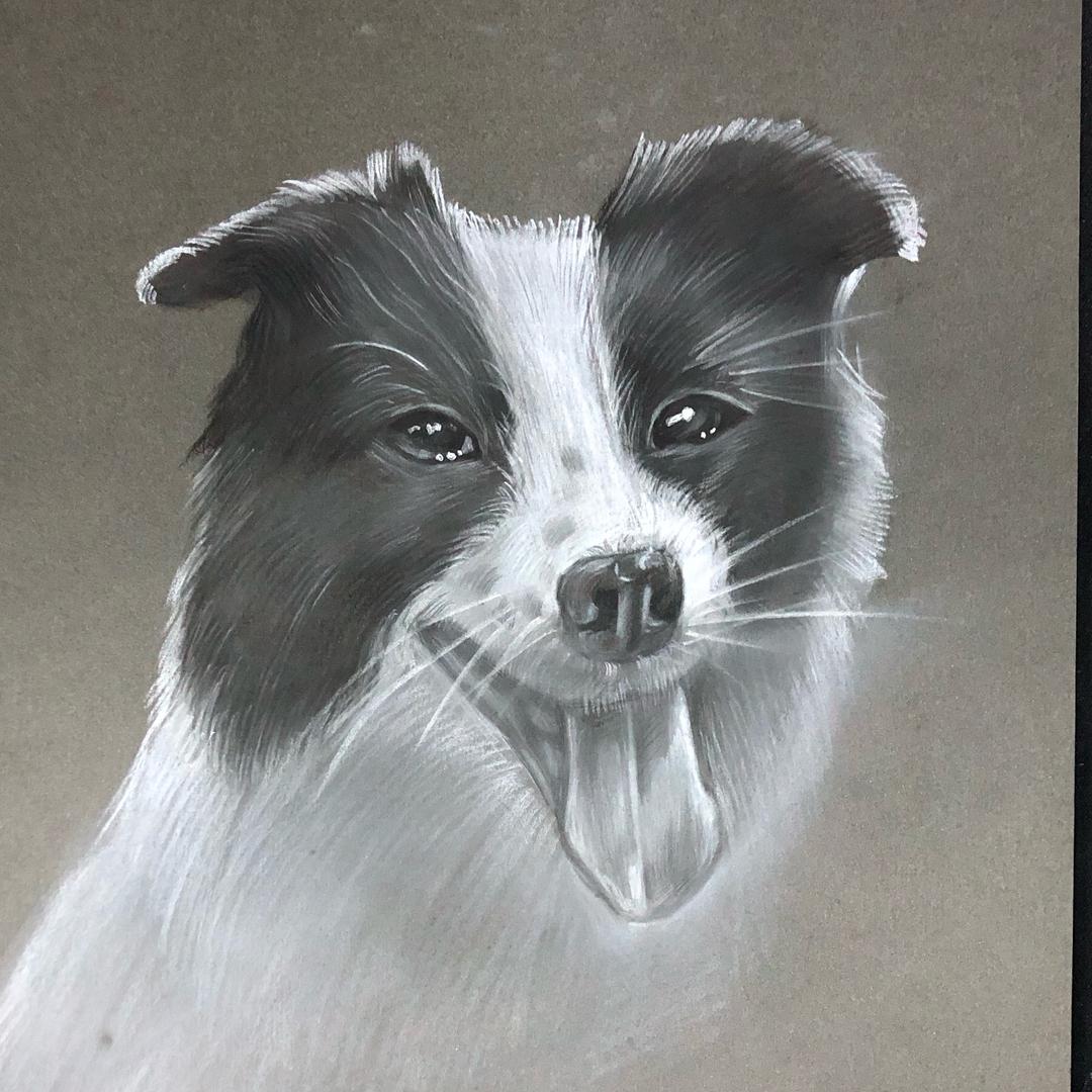 小陈老师教画画