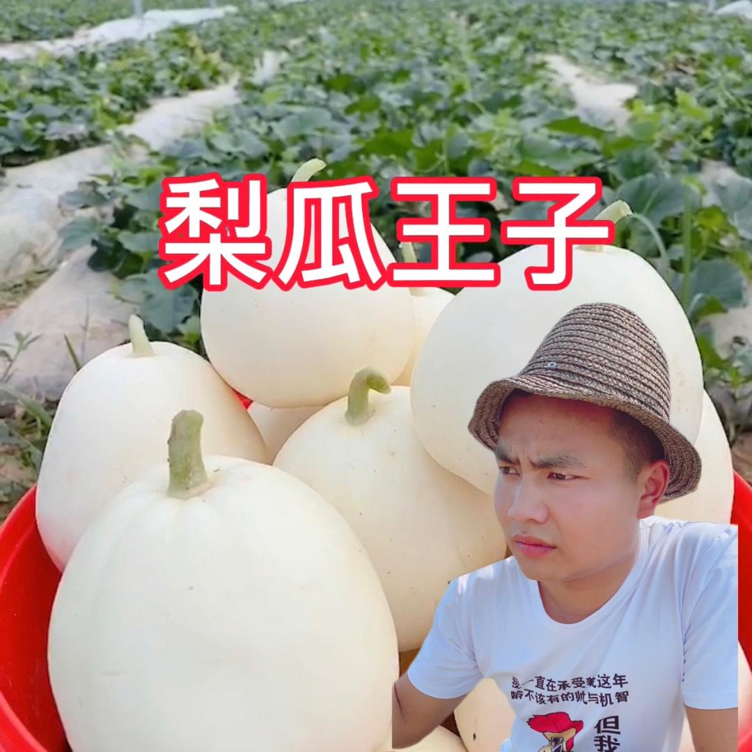 梨瓜王子