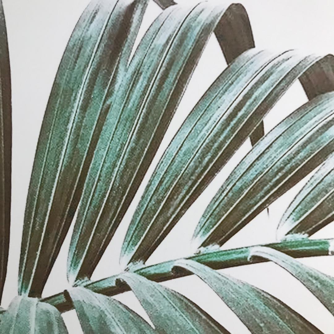 那样的话都可以接受