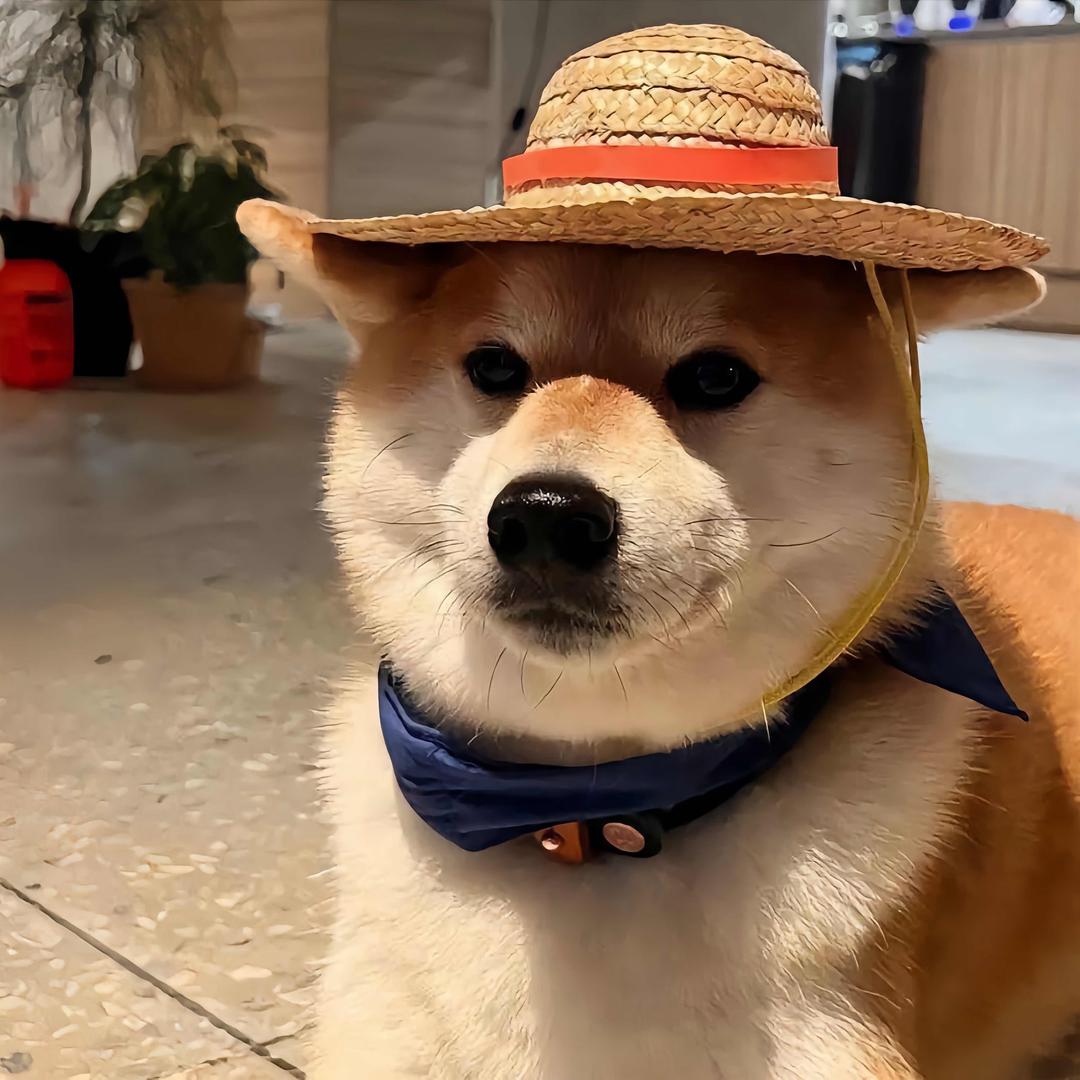 发呆，