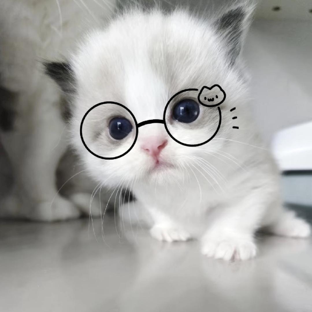 小钰转晴