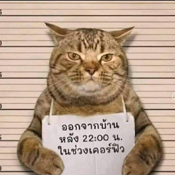 开心的瓶子