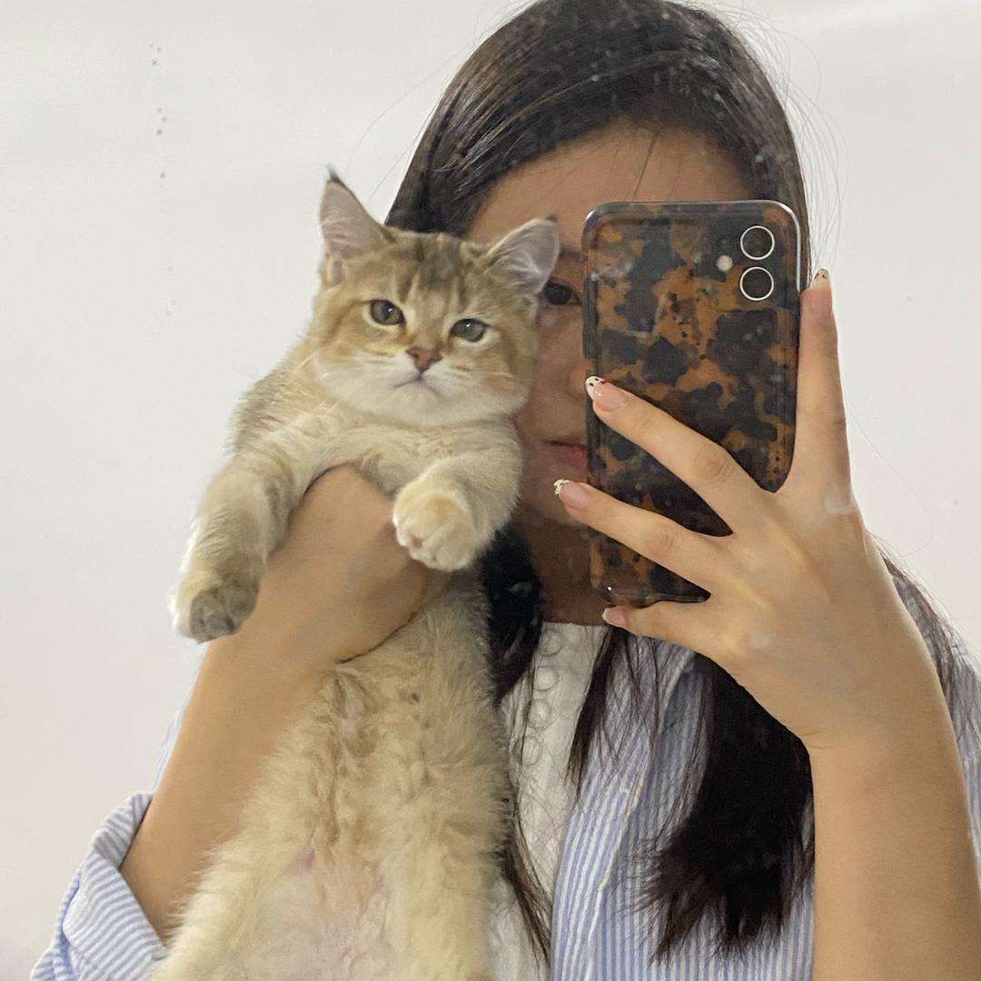 我超想💤