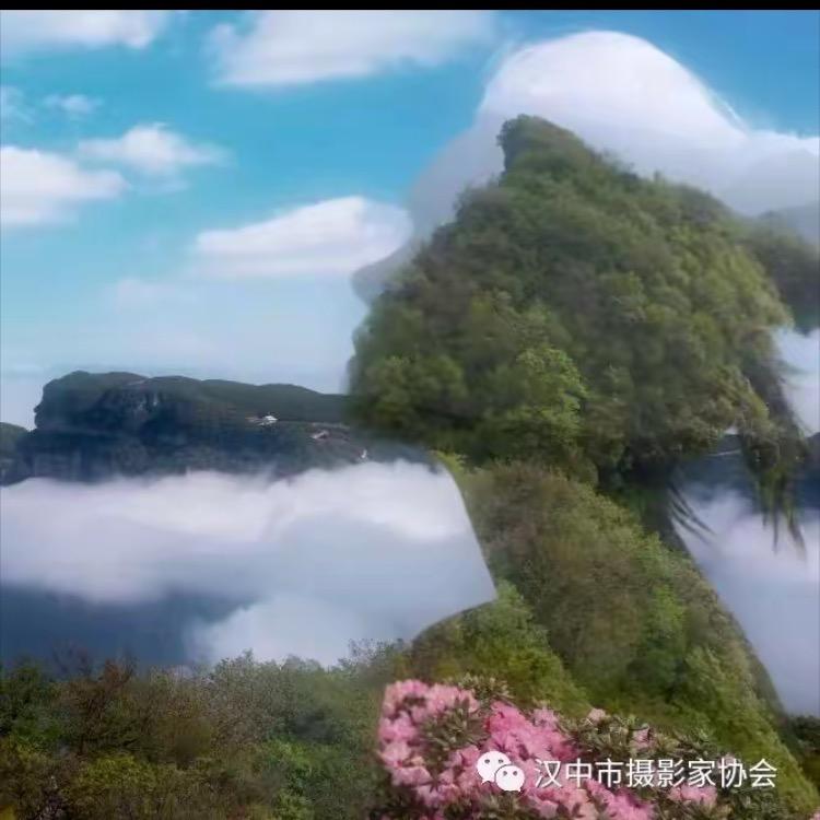 悠悠荡荡