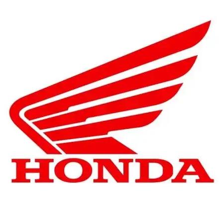 新大洲本田（重庆腾源）