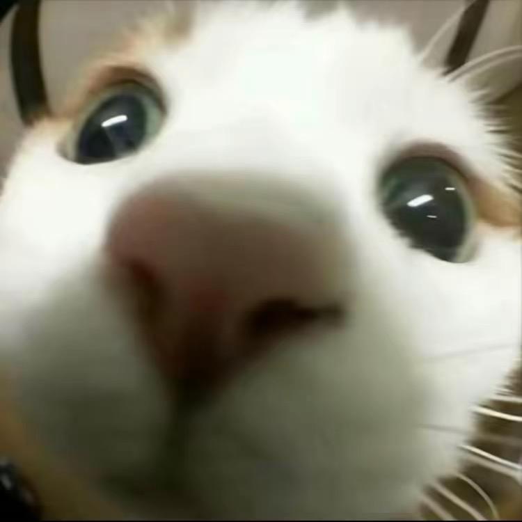 小章