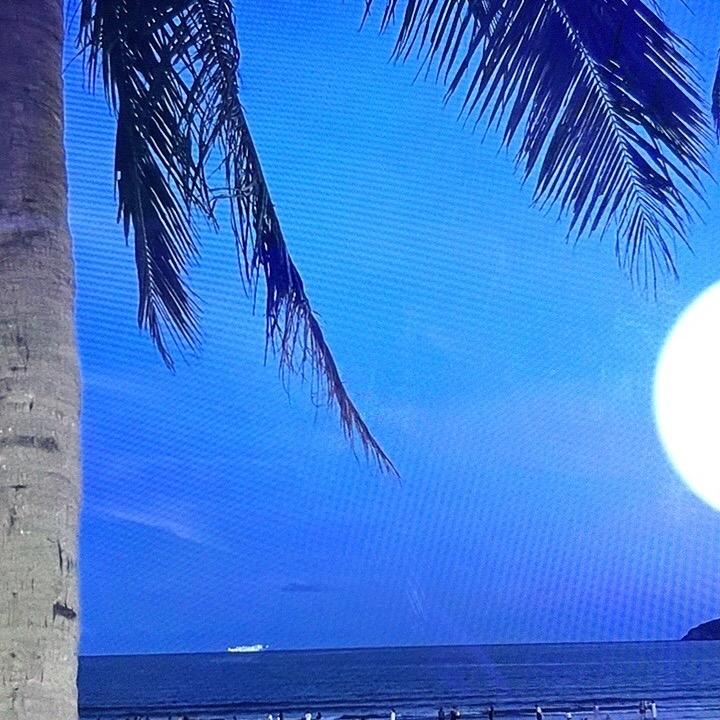 石离先生