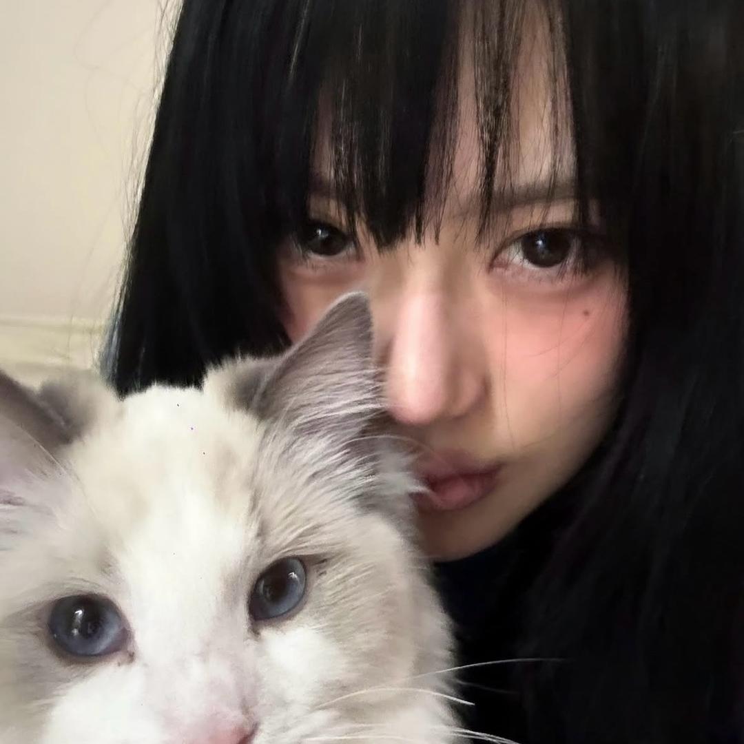 郑莜uu