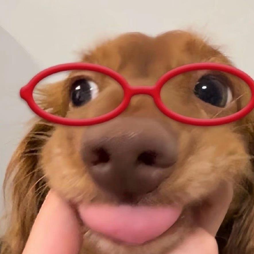 何何何何何何何