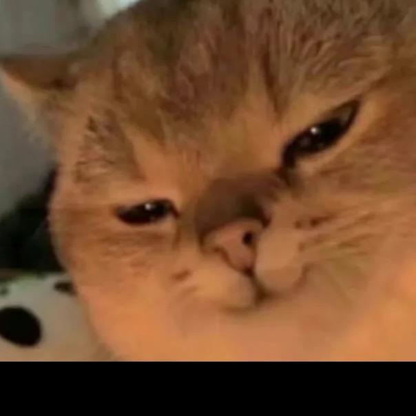 重生之我在抖音卖沙发