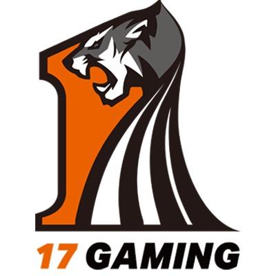 17战队
