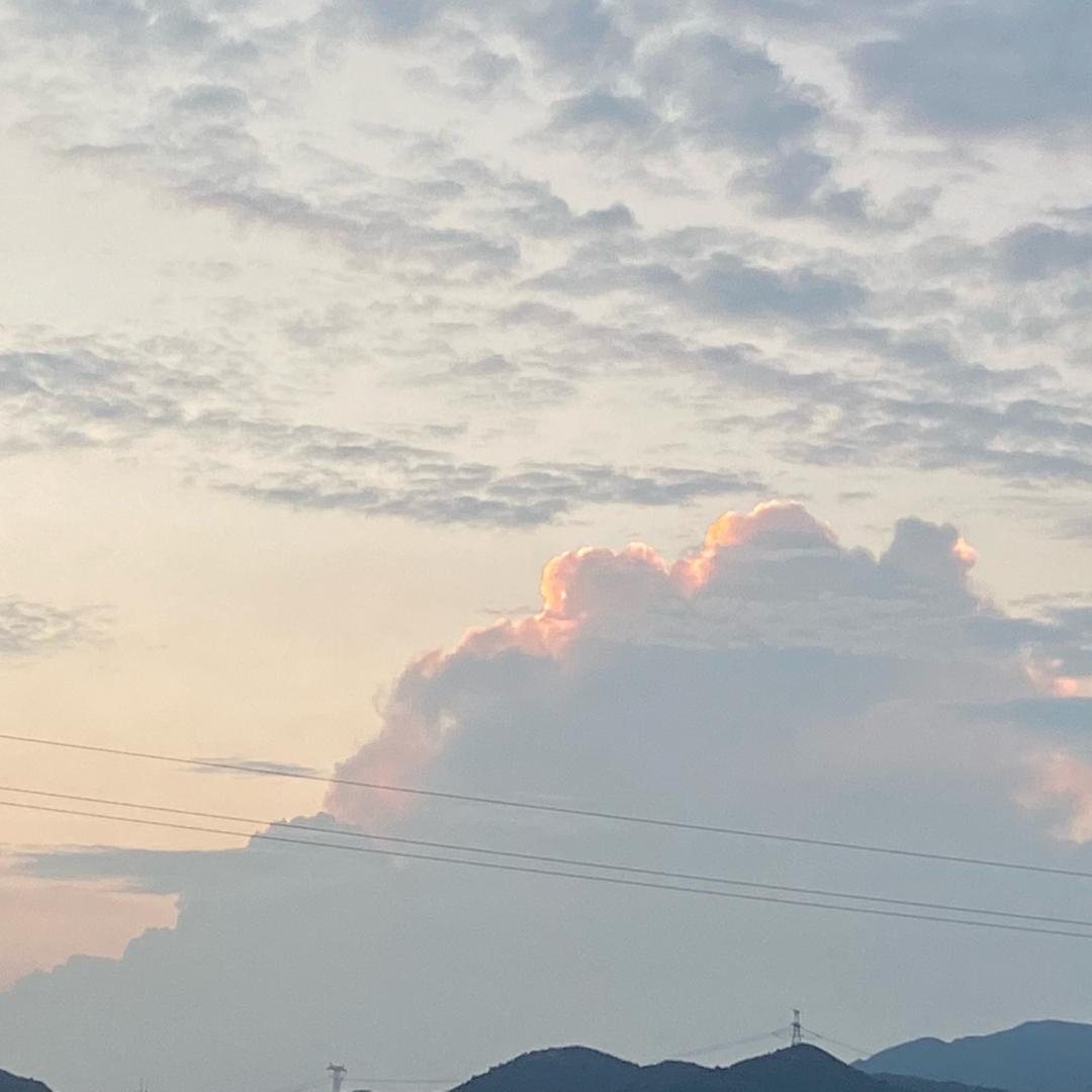 元元小炒