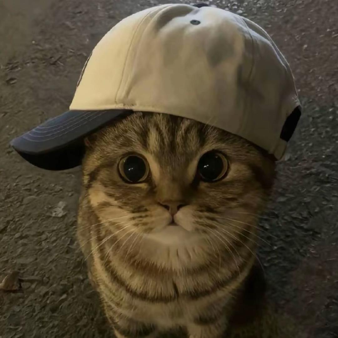 y.
