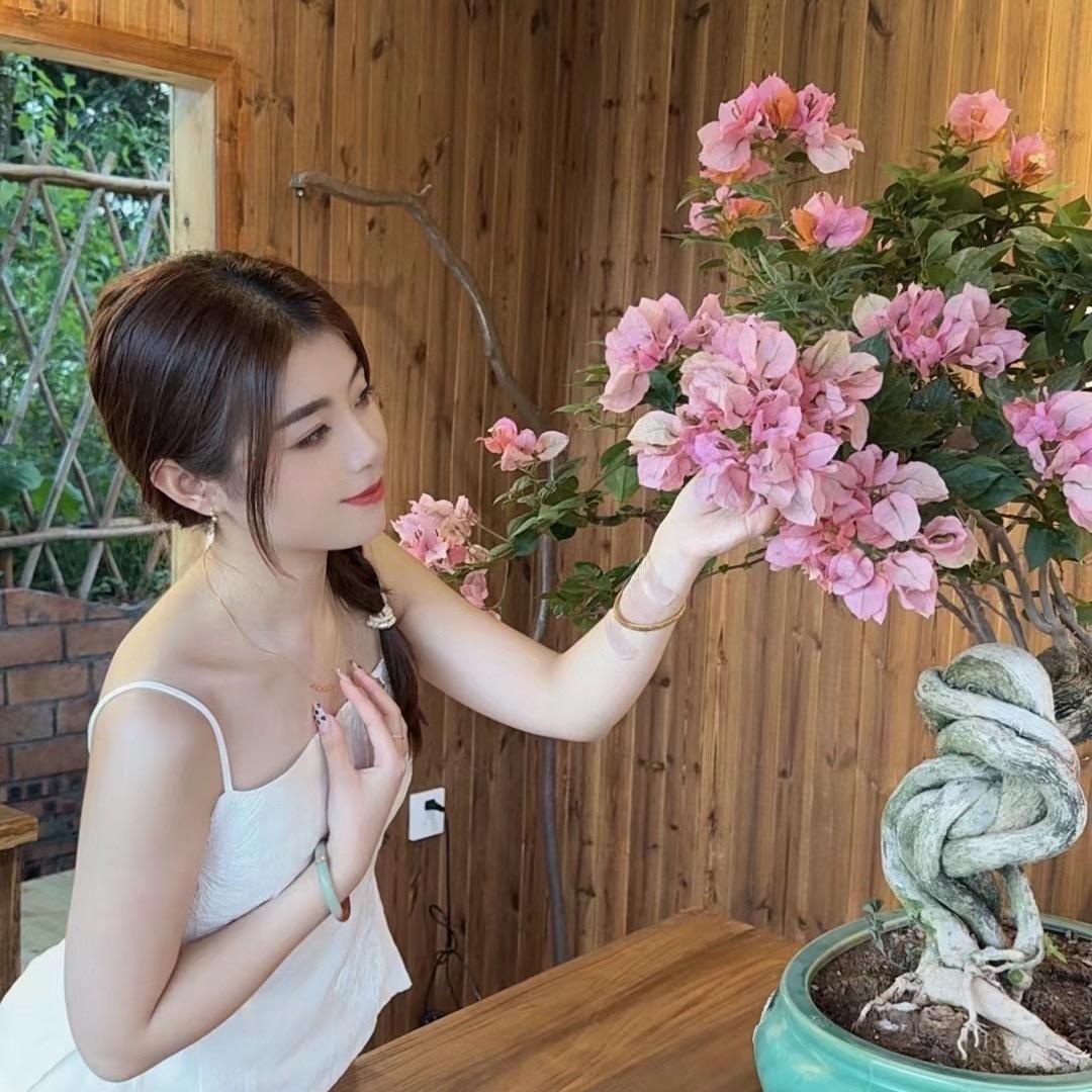 艺景园·小羊三角梅