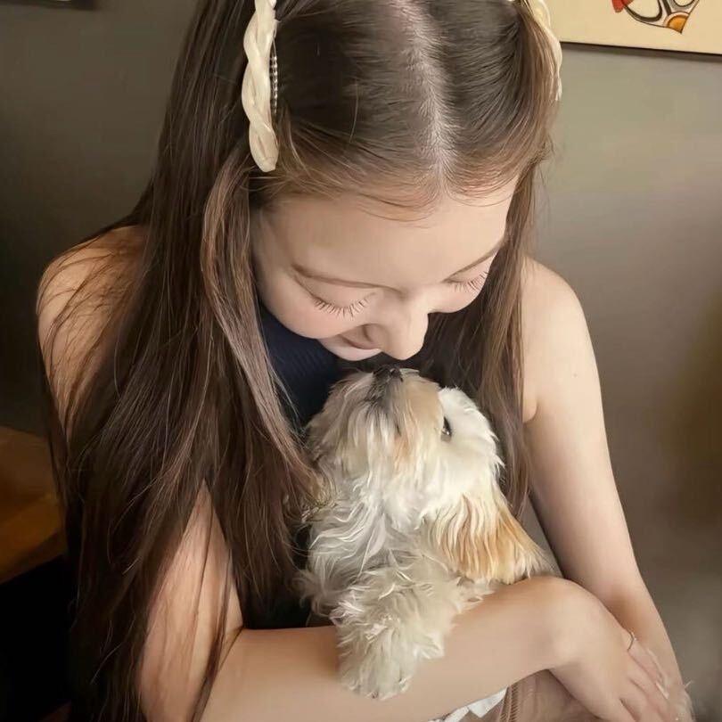 道上的都叫我番薯^