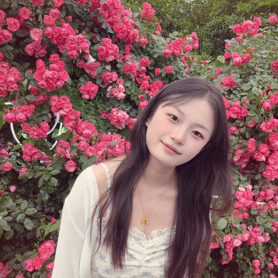 茅台镇丹丹