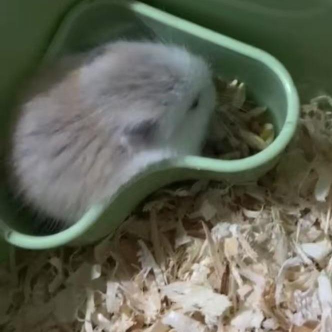 来啊发财🥔
