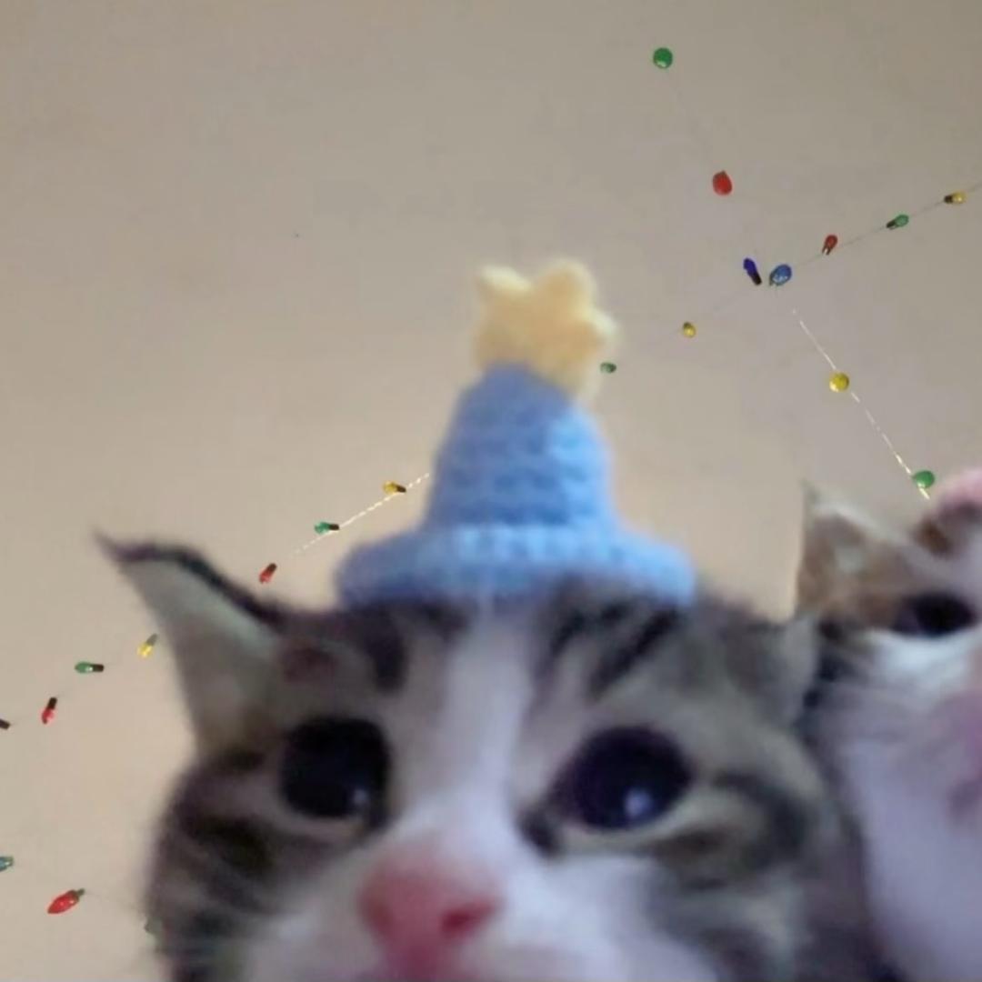 Kimi.